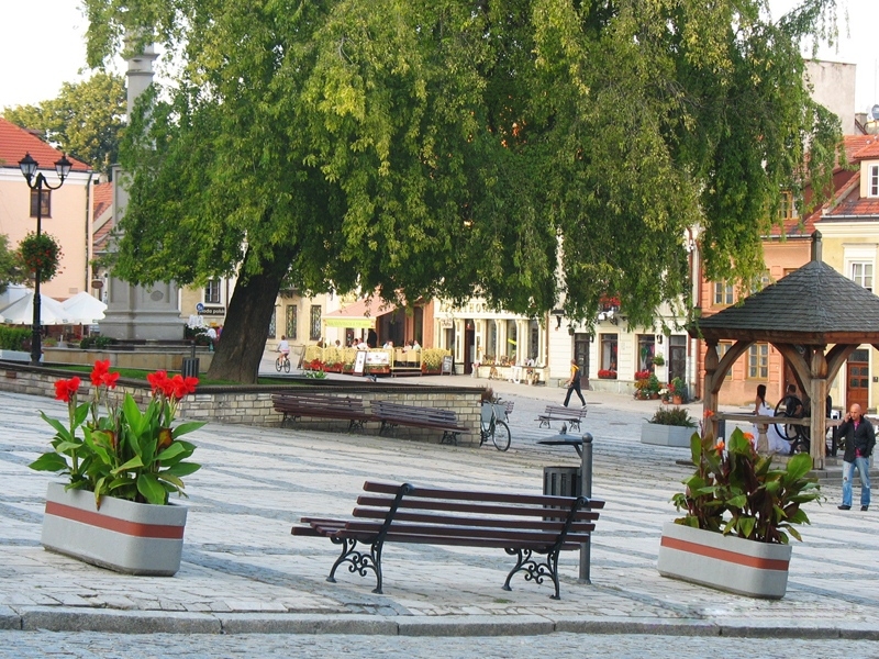 Donice Genewa na rynku w Sandomierzu